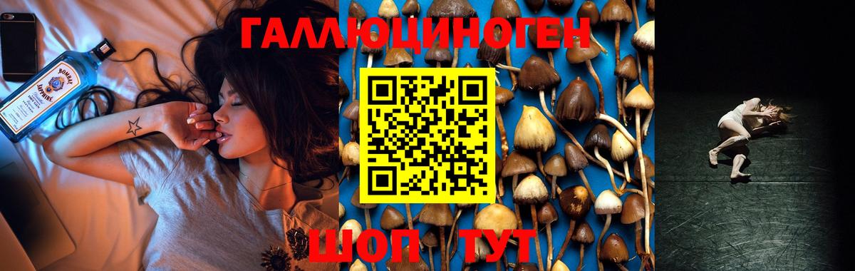 цена   Вход с VPN  Кызыл  Псилоцибиновые грибы Psilocybine cubensis 